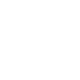 Dentsu Inc.